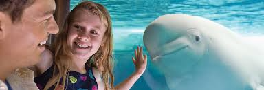 Experiences That Matter: A Conversation with Chris Bellows, Retired Vice  President of Zoological Ope