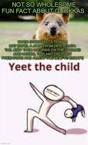 Because we're all in this together find out how to help your child's development. Bad Parenting Memes Gifs Imgflip