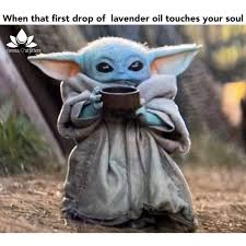 Lavender Is Often Called The Swiss Army Knife Of Essential Oils Because It Is So Versatile But One Thing Remains Yoda Meme Star Wars Memes Yoda Wallpaper