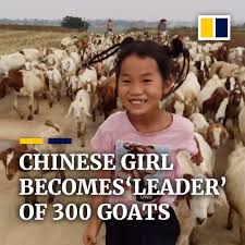 Innocent woman killed like a dog! South China Morning Post Chinese Girl Becomes Leader Of 300 Goats Facebook