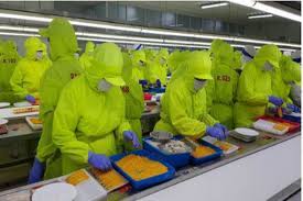 Kelompok industri kecil formal terdiri dari cabang industri agro; Industri Udang Beku Panca Mitra Gandakan Target Volume Ekspor Ekonomi Bisnis Com