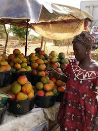 Africaine Senegal Mangue Africaine