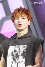 Most carriers of the red hair gene variants don't actually have red hair themselves and may not know they carry it, but scotlandsdna has developed a test to let parents see if they might have. Pin By Aleyna On Xiumin Exo Exo Xiumin Exo Exo Concert