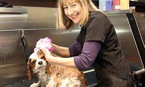 The registered agent on file for this company is tristian k ranson and is located at 8386 sheldon rd, elkgrove, ca 95624. Harrods Luxury Pet Spa From Nail Polish To Mud Baths Daily Mail Online