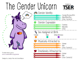 Gender Unicorn Blank Template Imgflip