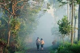 Menikmati suasana asri desa wisata nglinggo. Pin Di Wisata Di Jawa Tengah