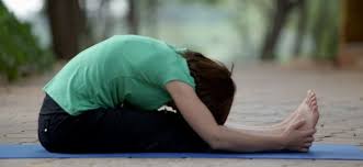 Paschimottanasana Seated Forward Bend Pose Yoga Benefits Video Steps Forward Bend Bend Yoga Yoga Poses