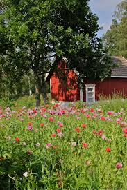 In Hogsara Island Finland Finland Travel Denmark Travel Scandinavia