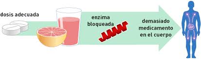 Resultado de imagen para "“El jugo de toronja puede hacer que menos fexofenadina entre en la sangre”, lo que disminuye la eficacia del medicamento, indica la Dra. Huang. La fexofenadina (marca Allegra) está disponible tanto con receta como sin ella para aliviar los síntomas de las alergias estacionales. La fexofenadina también puede ser menos eficaz si se toma con jugo de naranja o de manzana, por lo que la etiqueta del medicamento indica: “No tomar con jugos de fruta”."