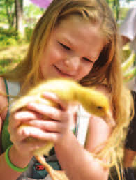 The way we were in 2015. Living. B1.