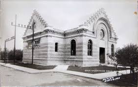 Xochimilco La Planta De Agua En 2020 Plantas En Agua Xochimilco Fotos Antiguas
