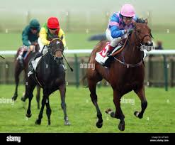 Darryl holland hi-res stock photography and images