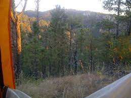 Two mile prairie tract bearhead hammock primitive campsites withlacoochee state forest, fl. French Creek Campground Review Of French Creek Custer Sd Tripadvisor