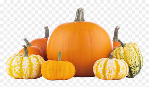 Pumpkin Png Orange And White Mini Pumpkins Transparent Png Vhv Download the pumpkin, food png on freepngimg for free. white mini pumpkins transparent png
