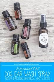 Dog Ear Cleaner Recipe For More Info Please Visit My Site Http Www Mydoterra Com Traceyanzar Essential Oils Dogs Dog Ear Wash Dog Ear Cleaner Recipe