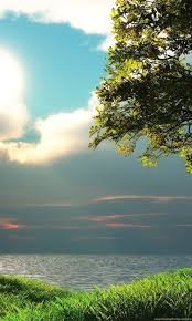 Full Hd Background Nature Photos The best free images of nature landscapes, people at the beach, starry night skies, hiking in the forest, and other outdoor scenes. full hd background nature photos