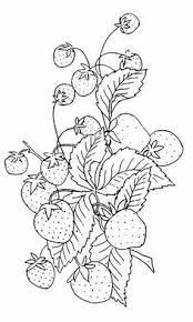 Strawberry life cycle set is a product to complement a lesson on fruit that offers a cut and paste activity, sequence cards and a file folder match.included is a file folder cover page, life cycle poster, cut and paste worksheet, sequence cards and a file folder match set.great for thematic unit, ce. 42 Strawberry Coloring Pages Ideas Coloring Pages Fruit Coloring Pages Strawberry