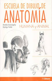 Libros de segunda mano y descatalogados (posteriores a 1936). Escuela De Dibujo De Anatomia Humana Y Animal Szunyoghy Andras Libro En Papel 9783848010103 Libreria El Sotano