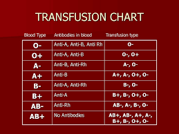 A, b, ab and o. Human Blood Typing Multiple Alleles Ppt Download