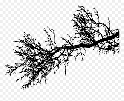 Check spelling or type a new query. Free Png Tree Branch Png Tree Branch Silhouette Png Transparent Png Vhv