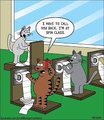 26 Adorably Funny Cat Cartoons That Will Get You Through The Day Funny Cats Cat Jokes Funny Cartoons