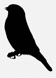 Check spelling or type a new query. European Goldfinch Png Images Pngegg