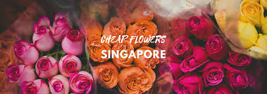 Same day flower delivery in singapore. 7 Florists For The Best Cheap Flowers In Singapore 2021