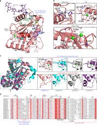 Our global writing staff includes experienced enl & esl academic writers in a variety of disciplines. Crystal Structure And Substrate Induced Activation Of Adamts13 Nature Communications