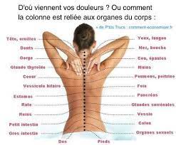 Mal aux jambes mal au cou muscler les bras maladie dégénérative arthrite douleur thoracique nerf sciatique aigremoine tibet. Douleur Musculaire Dans Le Haut Du Bras Gauche Ecoc Fr