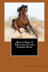 Having a new horse is a big responsibility. How To Raise Take Care Of Your Arabian Horse Von Vince Stead Englisches Buch Bucher De