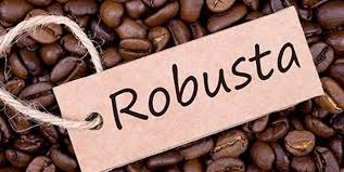 Cách rang cà phê robusta