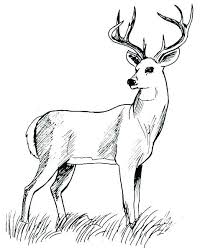 Coloriage Chasseur A Imprimer Coloriage De Chasse Dessin De Coloriage Chasseur A Imprimer Coloriage De Chass Coloriage Mandala Cerf Dessin Illustration De Cerf