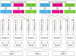 Figure 2 From Single Kernel Ft Nir Spectroscopy For