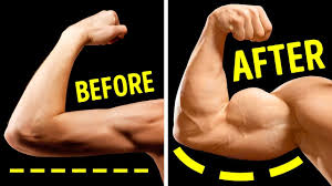build bigger arms without heavy weights