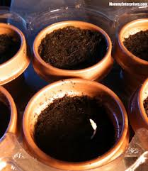 The nutrients in the soil feed the plant during times of extended rain where regular feedings aren't possible due to the wet conditions. Gardening With Whitney Farms Organic Plant Food Mom S Blog