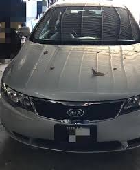We did not find results for: Kia Forte 1 6 Cars Cars For Sale On Carousell