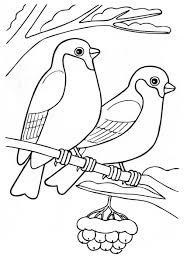 I nostri disegni da colorare sono un'ottima occasione per scoprire tante varietà di uccelli! Disegni Di Uccelli Da Colorare 75 Immagini Per La Stampa Gratuita