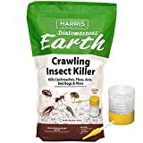 Pour it along insect trails. How To Use Diatomaceous Earth For Pest Control How I Get Rid Of