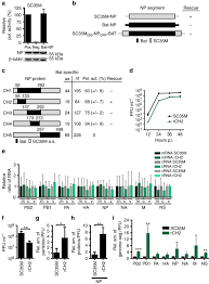 Consequences of default in complying with conditions for registration as a. A Conserved Influenza A Virus Nucleoprotein Code Controls Specific Viral Genome Packaging Nature Communications