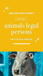 Indian High Court Declares Animals Legal Persons Entitled To Justice Court Justice Person