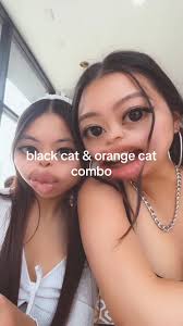 Cat Cannibal Orange Cat Black Cat