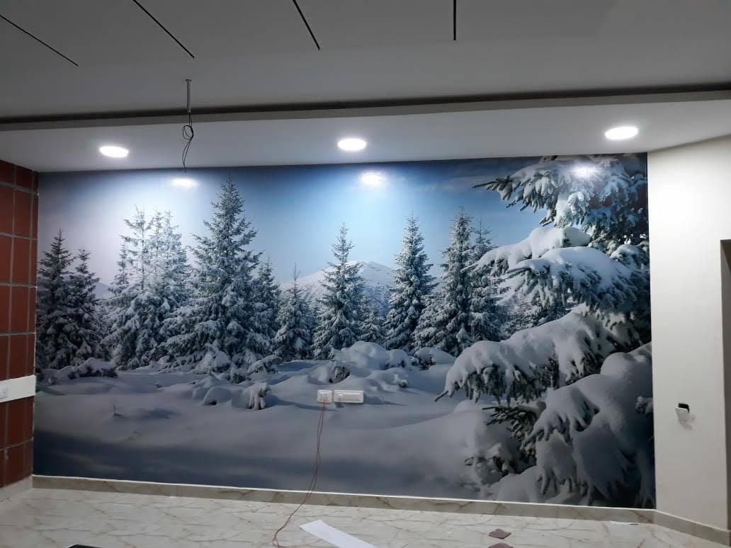 Vinyl Printing For Wall Design product image
