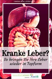 Leber Entgiften Schutzen Sie Sich Vor Einer Leberzirrhose Und Lassen Sie Ihre Leber Regenerieren Leber Entgiften Ernahrung Bei Fettleber Entgiften