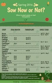 All seeds are supplied in printed packets with sowing instructions and are dispatched next day. Chart To Help You Know What Vegetable Seeds Should Be Started Outdoors When To Start Vegetable When To Plant Seeds When To Plant Vegetables Planting Vegetables