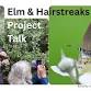 Elm and Hairstreaks Project talk event image