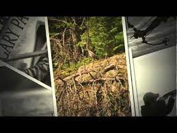 Guts The True Stories Behind Hatchet And The Brian Books Book Trailer Created By Morgan Stanchak Mov Book Trailer Elementary Books Book Trailers