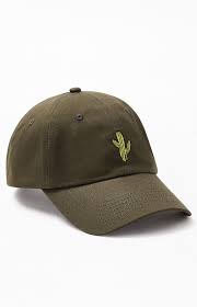 This cactus hat features cactus like ridges all around the hat, spines in a complimentary green and bright a pink flower on top. Pacsun Cactus Strapback Dad Hat Pacsun