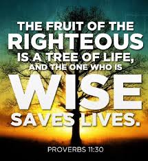 Either the fruit which grows upon christ, the tree of life, and which they receive from him; The Living Proverbs 11 30 Niv The Fruit Of The Righteous