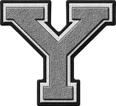 The best selection of royalty free letter y words and pictures vector art, graphics and stock illustrations. Presentation Alphabets Silver Varsity Letter Y