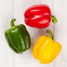 Image result for Capsicum